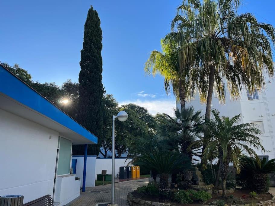 Apartamento En Costa Ballena, Urb. Playa Ballena Cádiz Kültér fotó